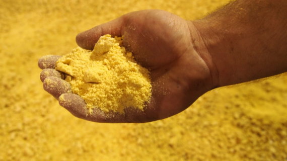 ExPress Soybean Meal